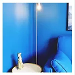 Appartement L'edelweis *