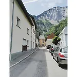 L'edelweis Le Bourg-dʼOisans