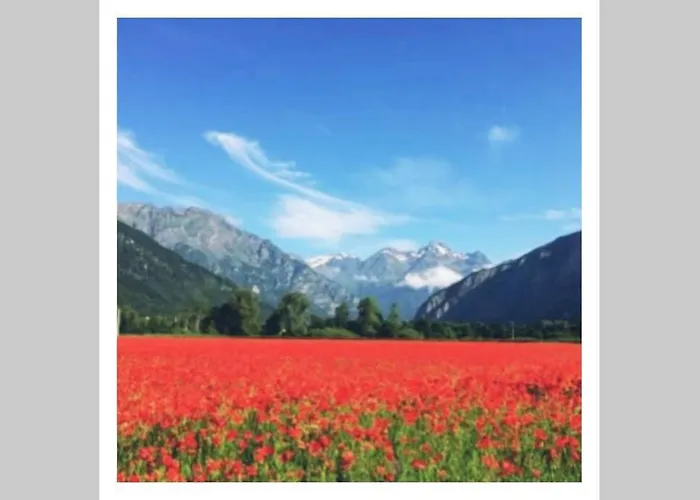 L'edelweis * Le Bourg-dʼOisans