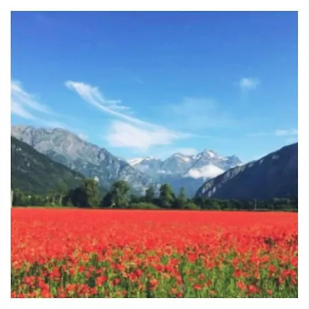L'edelweis * Le Bourg-dʼOisans